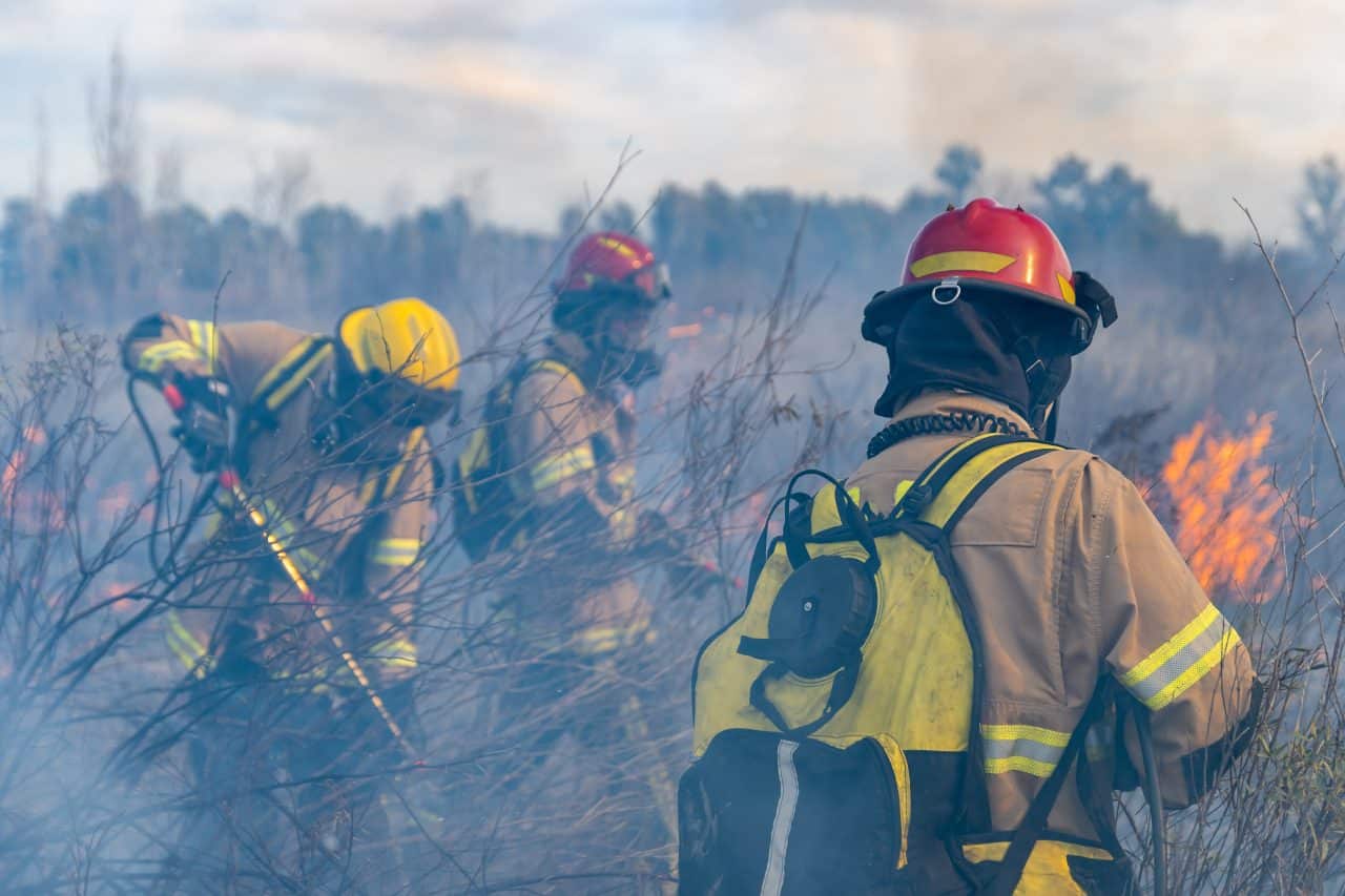 firefighters work on a grass fire